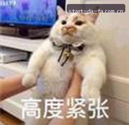 刘洋